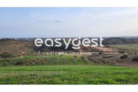 Farm hus i Ourique, Beja, Ourique - € 276.000 | Ref: BJ88516 - foto 10