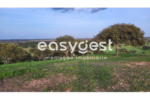 Farm hus i Ourique, Beja, Ourique - € 276.000 | Ref: BJ88516 - foto 11