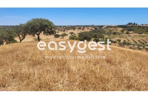 Farm hus i Ourique, Beja, Ourique - € 276.000 | Ref: BJ88516 - foto 12