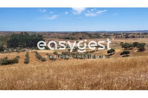 Farm hus i Ourique, Beja, Ourique - € 276.000 | Ref: BJ88516 - foto 13