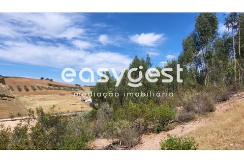 Farm hus i Ourique, Beja, Ourique - € 276.000 | Ref: BJ88516 - foto 14
