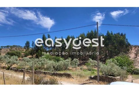 Farm hus i Ourique, Beja, Ourique - € 276.000 | Ref: BJ88516 - foto 15
