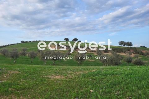 Farm hus i Ourique, Beja, Ourique - € 276.000 | Ref: BJ88516 - foto 16