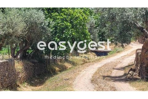 Farm hus i Ourique, Beja, Ourique - € 276.000 | Ref: BJ88516 - foto 19