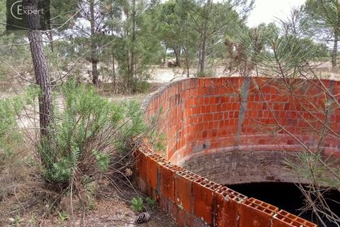 Terra a Torrao, Setubal, Torrao - € 200.000 | Ref: TER_45 - foto 3