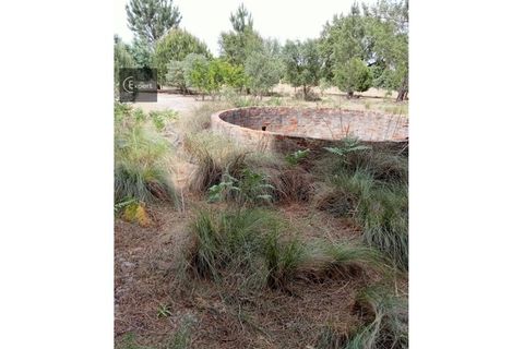 Terra a Torrao, Setubal, Torrao - € 200.000 | Ref: TER_45 - foto 4