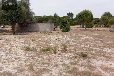 Terra a Torrao, Setubal, Torrao - € 200.000 | Ref: TER_45 - foto 5