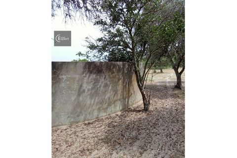 Terra a Torrao, Setubal, Torrao - € 200.000 | Ref: TER_45 - foto 6
