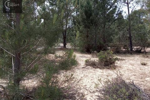 Terra a Torrao, Setubal, Torrao - € 200.000 | Ref: TER_45 - foto 10