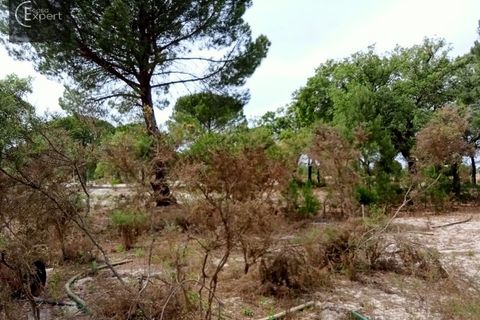 Terra a Torrao, Setubal, Torrao - € 200.000 | Ref: TER_45 - foto 11