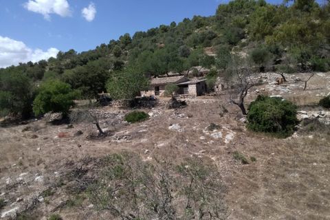 Landejendom i Arta, Mallorca, Arta - € 1.650.000 | Ref: 1196S - foto 12