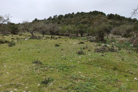 Landejendom i Arta, Mallorca, Arta - € 1.650.000 | Ref: 1196S - foto 14