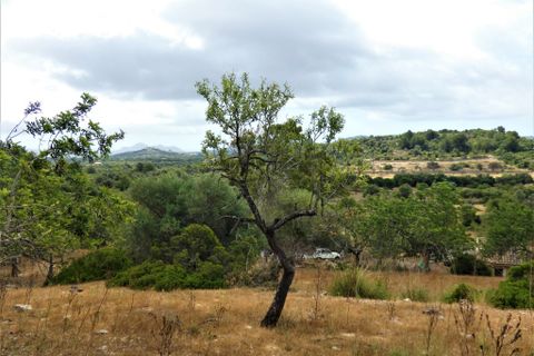 Landejendom i Arta, Mallorca, Arta - € 1.650.000 | Ref: 1196S - foto 7