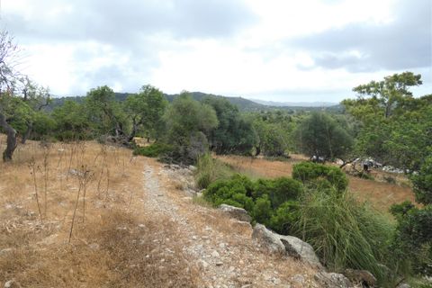Landejendom i Arta, Mallorca, Arta - € 1.650.000 | Ref: 1196S - foto 9