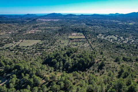Landejendom i Arta, Mallorca, Arta - € 1.650.000 | Ref: 1196S - foto 1