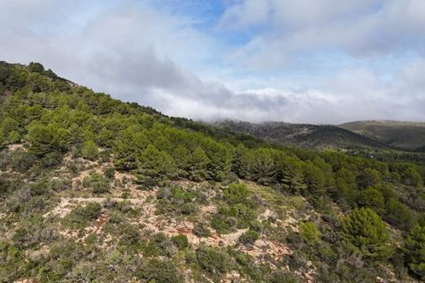 Landejendom i Arta, Mallorca, Arta - € 1.650.000 | Ref: 1196S - foto 20