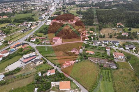 Helårsgrund i Gandra e Taiao, Viana do Castelo, Gandra e Taiao - € 180.000 | Ref: TER_133 - foto 7