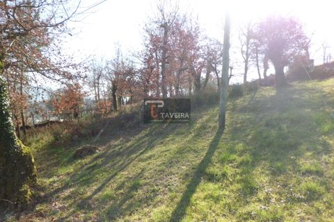 Helårsgrund i Arcos de Valdevez, Viana do Castelo, Arcos de Valdevez - € 210.000 | Ref: 1553 - foto 2