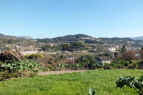 Helårsgrund i Arcos de Valdevez, Viana do Castelo, Arcos de Valdevez - € 210.000 | Ref: 1553 - foto 4