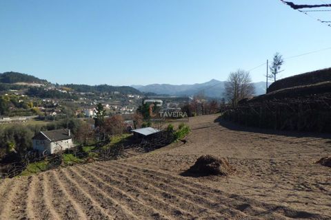 Helårsgrund i Arcos de Valdevez, Viana do Castelo, Arcos de Valdevez - € 210.000 | Ref: 1553 - foto 6