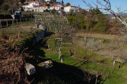 Helårsgrund i Arcos de Valdevez, Viana do Castelo, Arcos de Valdevez - € 210.000 | Ref: 1553 - foto 7