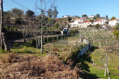 Helårsgrund i Arcos de Valdevez, Viana do Castelo, Arcos de Valdevez - € 210.000 | Ref: 1553 - foto 8