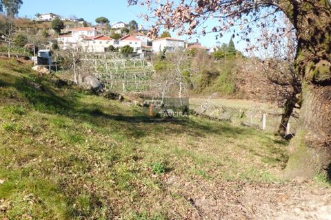 Helårsgrund i Arcos de Valdevez, Viana do Castelo, Arcos de Valdevez - € 210.000 | Ref: 1553 - foto 9