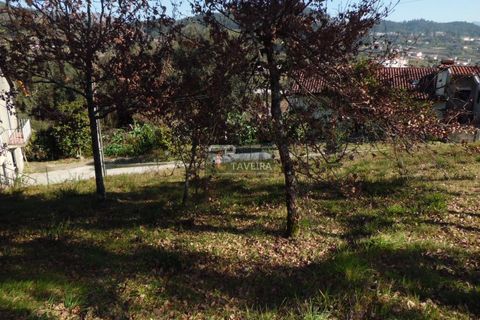Helårsgrund i Arcos de Valdevez, Viana do Castelo, Arcos de Valdevez - € 210.000 | Ref: 1553 - foto 10