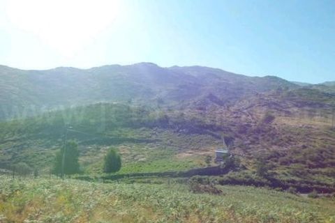 Helårsgrund i Arcos de Valdevez, Viana do Castelo, Arcos de Valdevez - € 40.000 | Ref: 1758 - foto 4