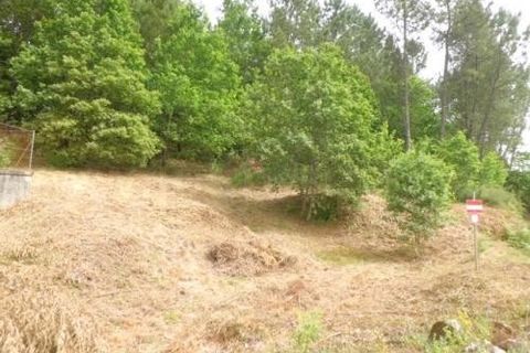 Helårsgrund i Arcos de Valdevez, Viana do Castelo, Arcos de Valdevez - € 55.000 | Ref: 1783 - foto 2