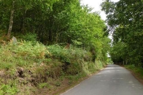 Helårsgrund i Arcos de Valdevez, Viana do Castelo, Arcos de Valdevez - € 55.000 | Ref: 1783 - foto 3