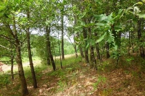 Helårsgrund i Arcos de Valdevez, Viana do Castelo, Arcos de Valdevez - € 55.000 | Ref: 1783 - foto 5