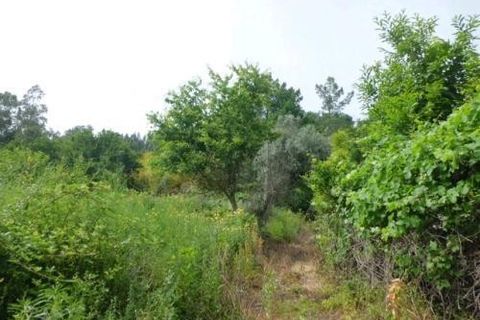 Helårsgrund i Arcos de Valdevez, Viana do Castelo, Arcos de Valdevez - € 29.000 | Ref: 1805 - foto 2