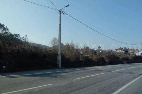Helårsgrund i Arcos de Valdevez, Viana do Castelo, Arcos de Valdevez - € 175.000 | Ref: 1606 - foto 2