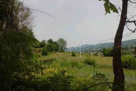Helårsgrund i Arcos de Valdevez, Viana do Castelo, Arcos de Valdevez - € 118.000 | Ref: 1791 - foto 7