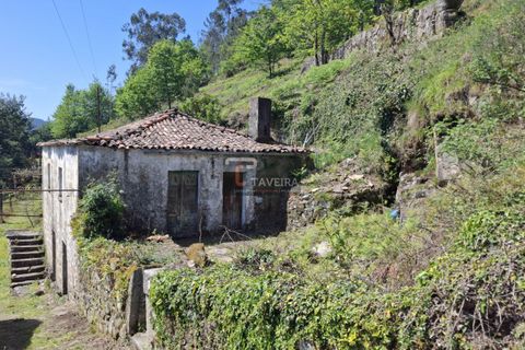 Landejendom i Arcos de Valdevez, Viana do Castelo, Arcos de Valdevez - € 260.000 | Ref: 1574 - foto 2