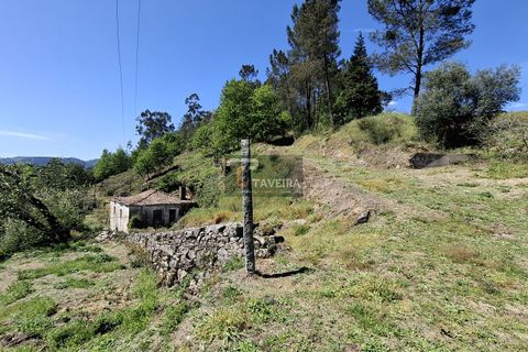 Landejendom i Arcos de Valdevez, Viana do Castelo, Arcos de Valdevez - € 260.000 | Ref: 1574 - foto 3