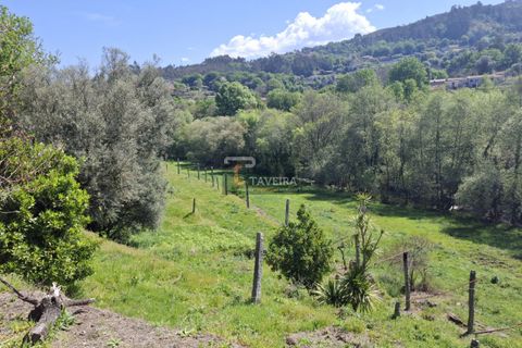Landejendom i Arcos de Valdevez, Viana do Castelo, Arcos de Valdevez - € 260.000 | Ref: 1574 - foto 9