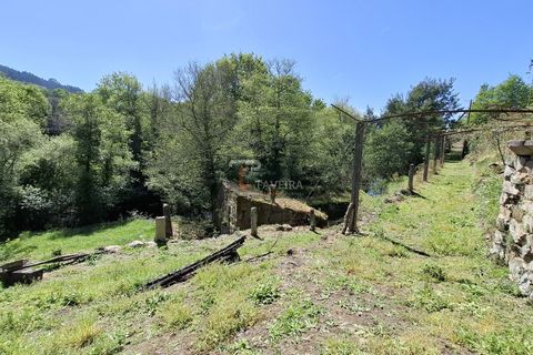 Landejendom i Arcos de Valdevez, Viana do Castelo, Arcos de Valdevez - € 260.000 | Ref: 1574 - foto 12