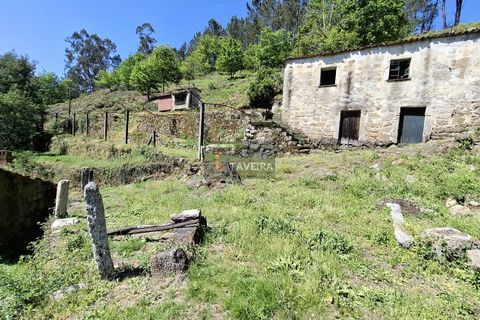 Landejendom i Arcos de Valdevez, Viana do Castelo, Arcos de Valdevez - € 260.000 | Ref: 1574 - foto 15