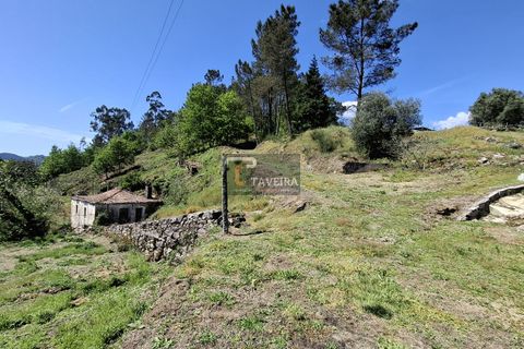 Landejendom i Arcos de Valdevez, Viana do Castelo, Arcos de Valdevez - € 260.000 | Ref: 1574 - foto 17
