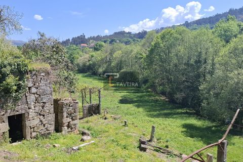 Landejendom i Arcos de Valdevez, Viana do Castelo, Arcos de Valdevez - € 260.000 | Ref: 1574 - foto 19