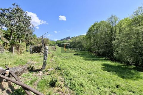Landejendom i Arcos de Valdevez, Viana do Castelo, Arcos de Valdevez - € 260.000 | Ref: 1574 - foto 20