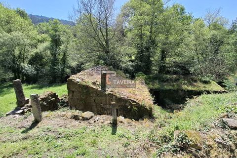 Landejendom i Arcos de Valdevez, Viana do Castelo, Arcos de Valdevez - € 260.000 | Ref: 1574 - foto 21