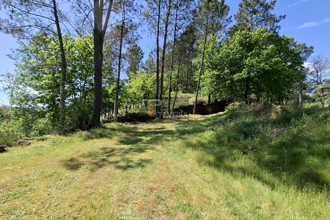 Landejendom i Arcos de Valdevez, Viana do Castelo, Arcos de Valdevez - € 260.000 | Ref: 1574 - foto 34