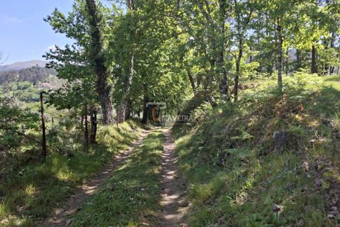 Landejendom i Arcos de Valdevez, Viana do Castelo, Arcos de Valdevez - € 260.000 | Ref: 1574 - foto 35