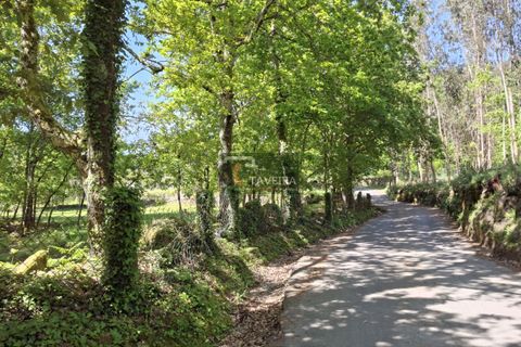 Landejendom i Arcos de Valdevez, Viana do Castelo, Arcos de Valdevez - € 260.000 | Ref: 1574 - foto 38