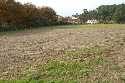 Helårsgrund i Arcos de Valdevez, Viana do Castelo, Arcos de Valdevez - € 35.000 | Ref: 1916 - foto 9