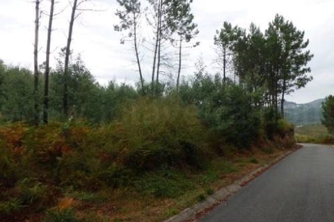 Helårsgrund i Arcos de Valdevez, Viana do Castelo, Arcos de Valdevez - € 19.000 | Ref: 1938 - foto 3