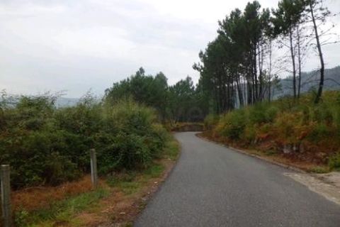 Helårsgrund i Arcos de Valdevez, Viana do Castelo, Arcos de Valdevez - € 19.000 | Ref: 1938 - foto 5